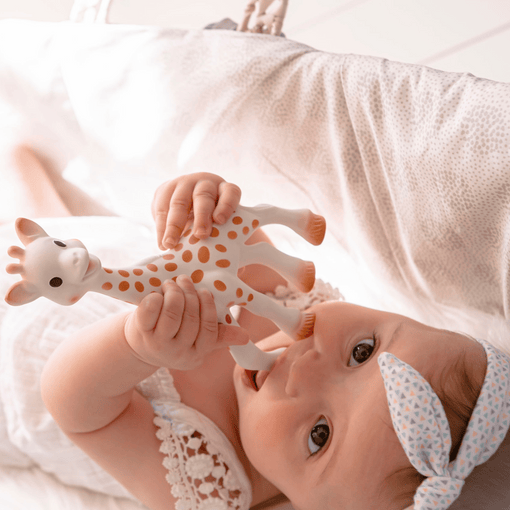 How to Take Care of Sophie the Giraffe