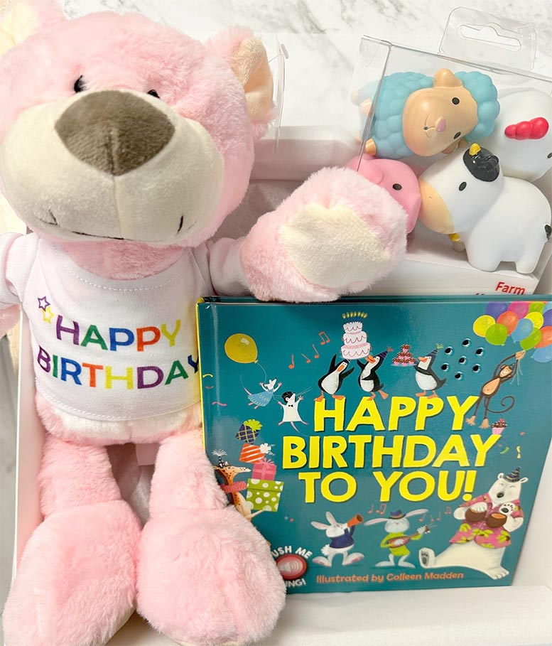 Pink plush toy with 'Happy Birthday' shirt and children's book titled 'Happy Birthday to You' on a white background