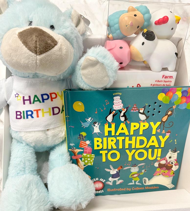 Plush dog toy with 'Happy Birthday' shirt and children's book titled 'Happy Birthday to You' on a white background.