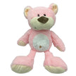Pink teddy bear plush toy on a white background