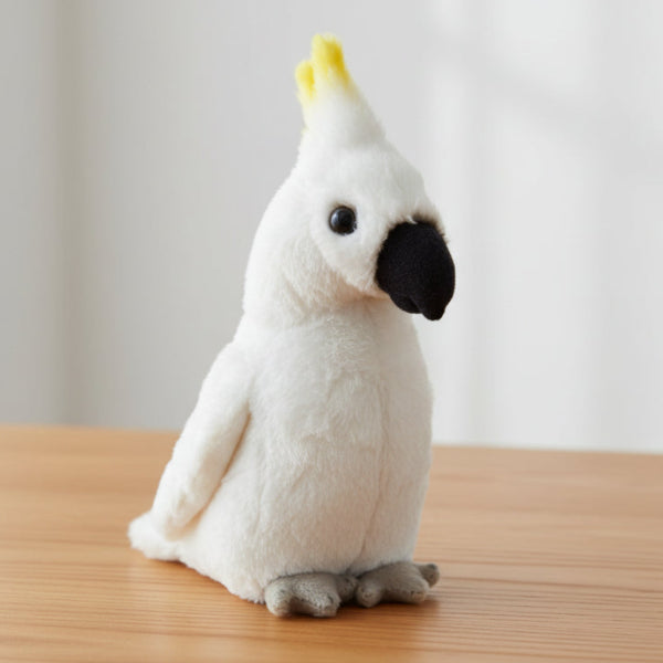 white cockatoo bird on table