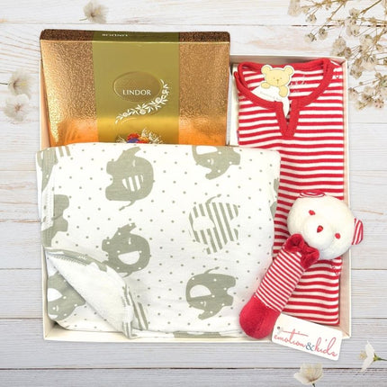 Baby gift set with red stripe onesie, rattle, blanket, and other items from The Baby Gift Company.
