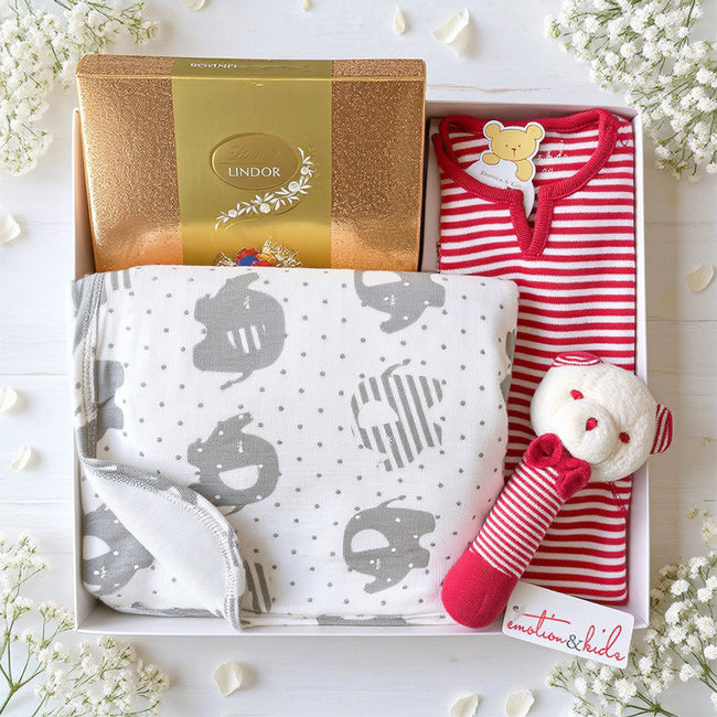 Baby gift set with red stripe onesie, rattle, blanket, and other items from The Baby Gift Company.