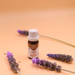 Lavender certified organic essential oils.
