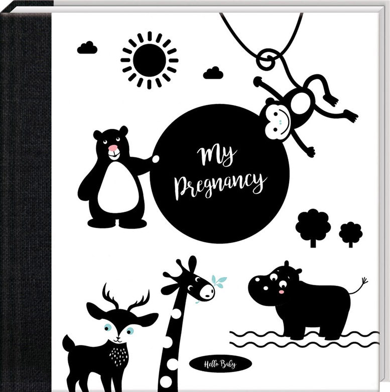 My Pregnancy Journal Hello Baby
