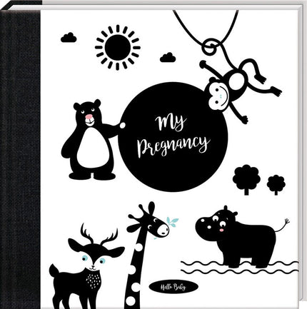 My Pregnancy Journal Hello Baby
