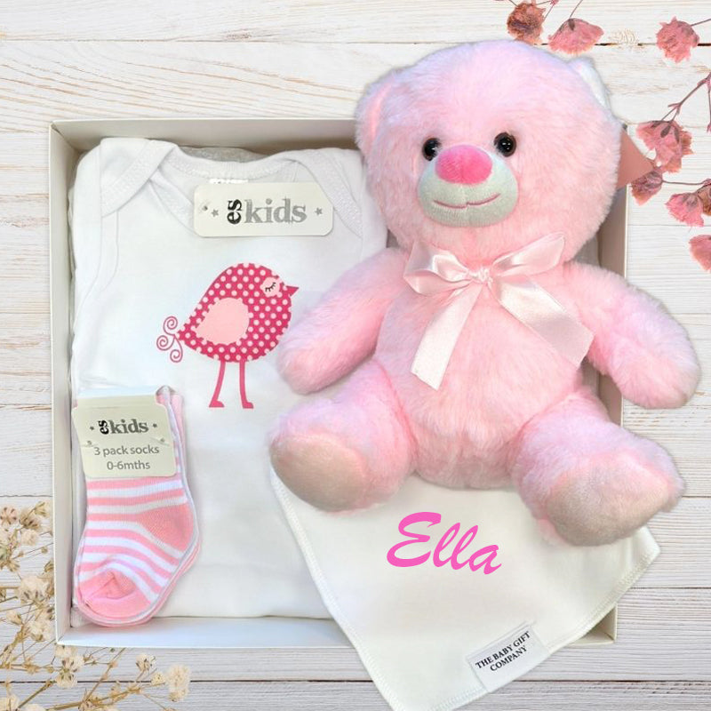 Pink baby t-shirt, pink teddy bear, and socks with 'Charlotte' on a white background