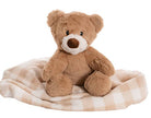Brown teddy bear sitting on a checkered blanket with a white background