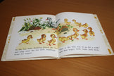 Open book with illustrations of ducks and a goose on a wooden background