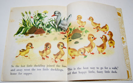 Open book with illustrations of ducks and a goose on a white background