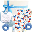 Twin Baby gift set with bib, toys, and clothing featuring animal patterns on a white background.