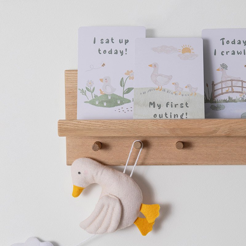 baby milestone cards on a shelf