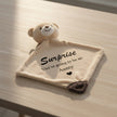 Personalised 'surprise' pregnancy announcement bear comforter toy with custom baby reveal message