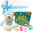 Gift set with blue teddy bear, colorful book, and small plush toys on a white background.