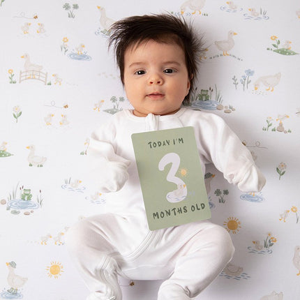 Goosey Baby Milestone Cards with baby