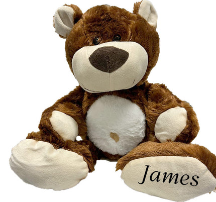 Brown teddy bear with 'James' on a white background
