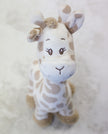 Plush giraffe toy on a soft white background