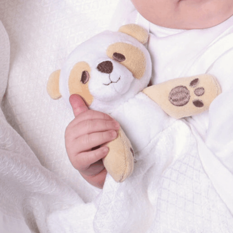 Child holding a white soft toy resembling a bear with paw prints on a white background