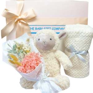 Pure Bliss newborn baby gift box with gender-neutral gifts