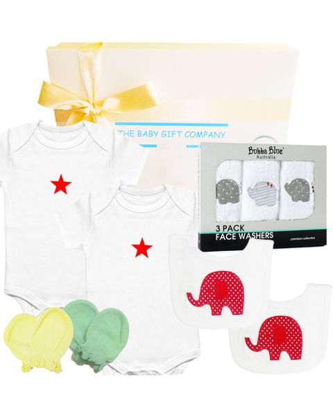 Twin Delight Baby Gift Box