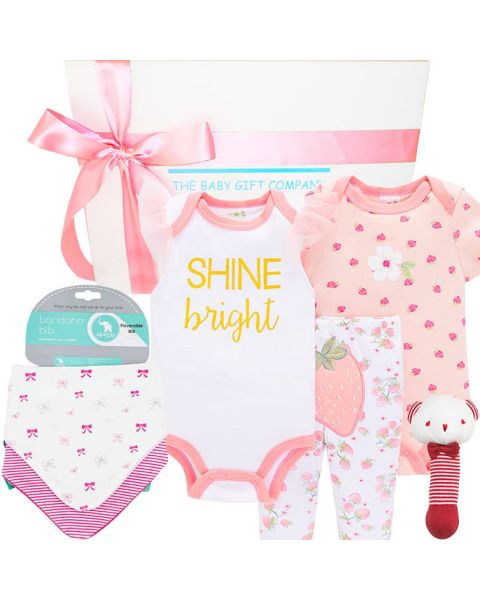Bundle Of Joy Baby Girl Gift Basket