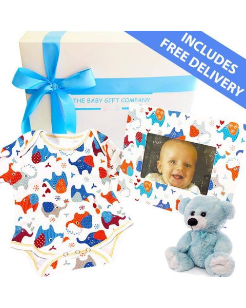 Elephant baby boy gift hamper - free postage