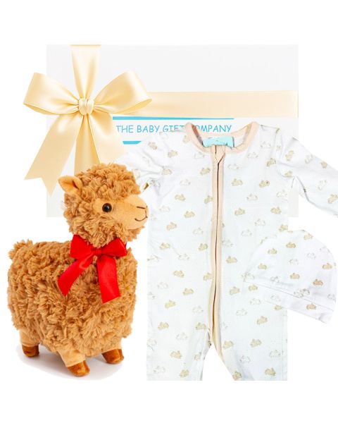Little Bambino Baby Gift Box – The Perfect New Parent Gift