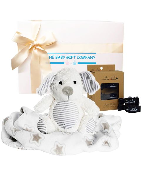 Newborn Essential Baby Gift Box