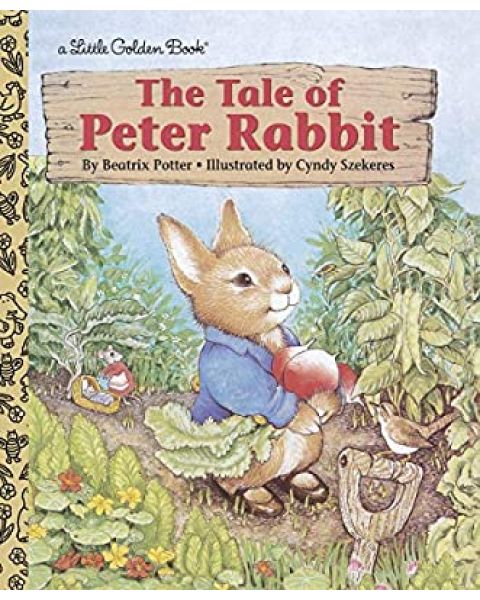 The Tale Of Peter Rabbit Book