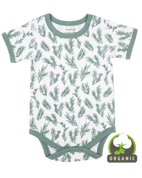 Rosemary Short Sleeve Bodysuit