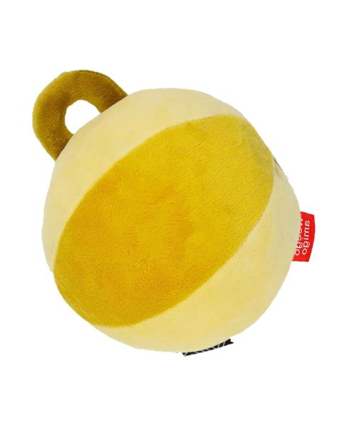 Sunshine Colourplay Sensory Ball Toy
