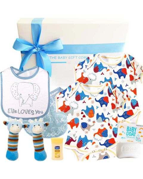 Twin Classic Baby Boy Gift Box for twin baby boys