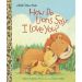 Lions Say I Love You Board Book 