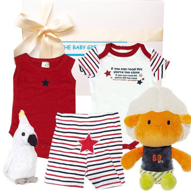 Animal Friends Playtime Baby Gift Box