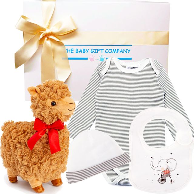 Little Bambino Organic Gift Box