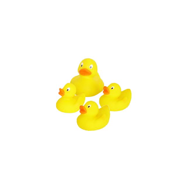 Ducks bath set