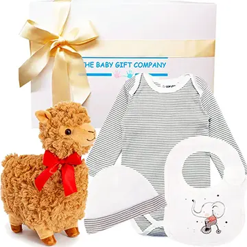 unisex baby shower gifts