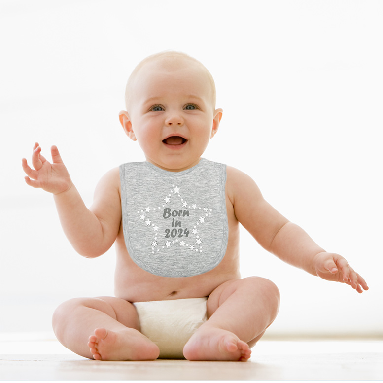 born in 2024 baby bib